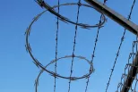 Single coil barrier and barbed wire
