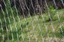 Razor mesh on the chain link fence