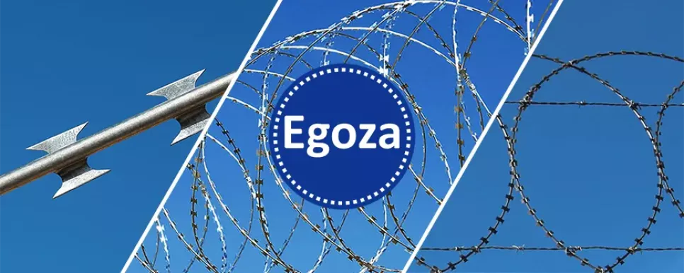 Торговая марка Егоза